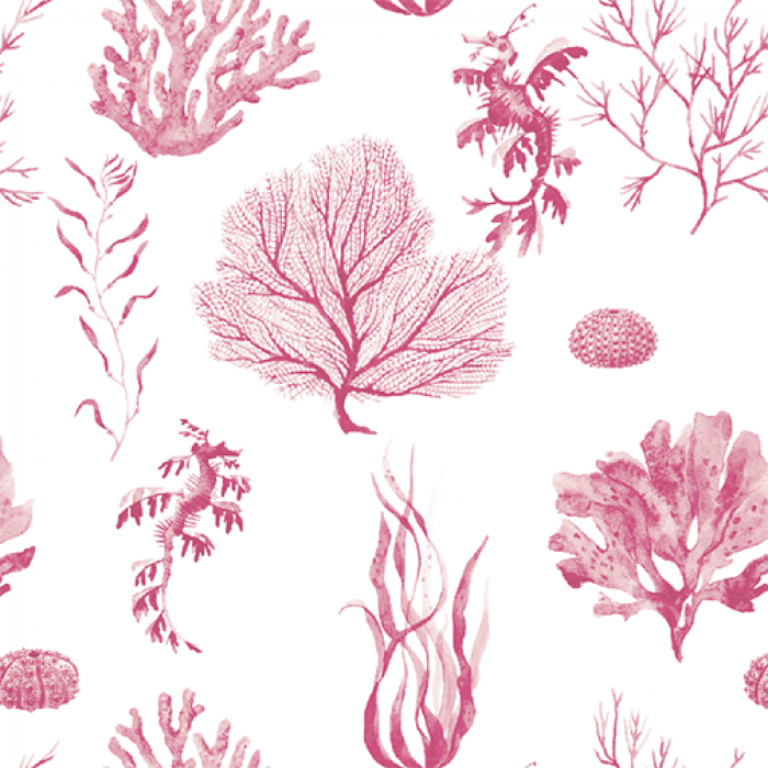 Pink Sea Pattern - Sample Kit - Sample Kits - Search Art