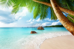 Anse Lazio beach on Praslin island in Seychelles