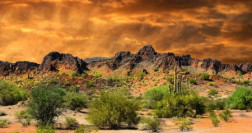 New Mexico Border