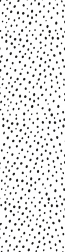Dalmatian Spots - Furniture Wrap