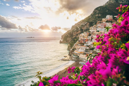 Positano in Bloom