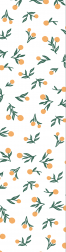 Oranges - Furniture Wrap