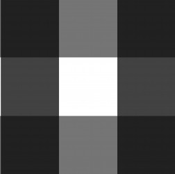 Buffalo Check Pattern - Sample Kit-B&W