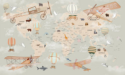 Illustrated World Map