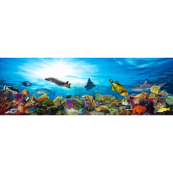 colorful coral reef with many fishes