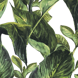 Tropical Leaves Pattern - Sample Kit